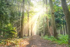 Christian Therapy for Anxiety: Finding Peace Through Faith and Professional Care